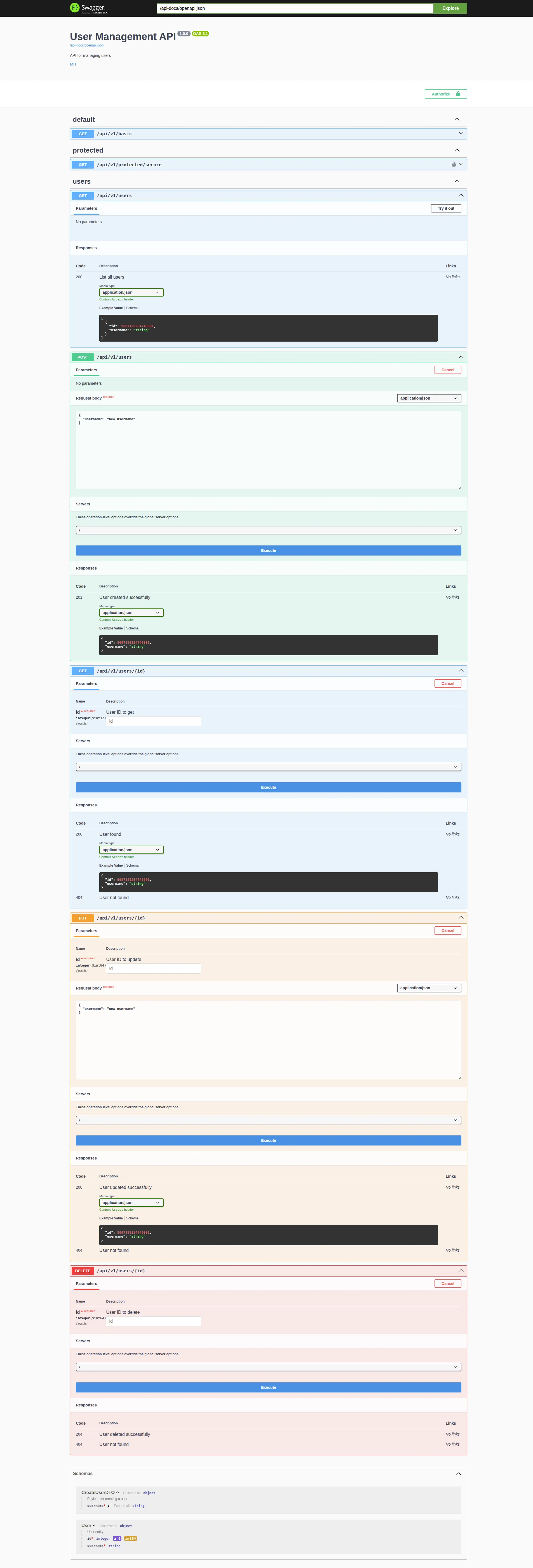 swagger ui with user